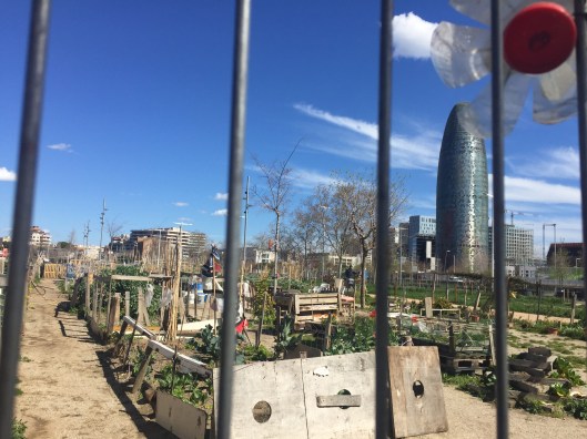 9631F19C-0CBA-46C9-9F06-FB0960EFD8CE