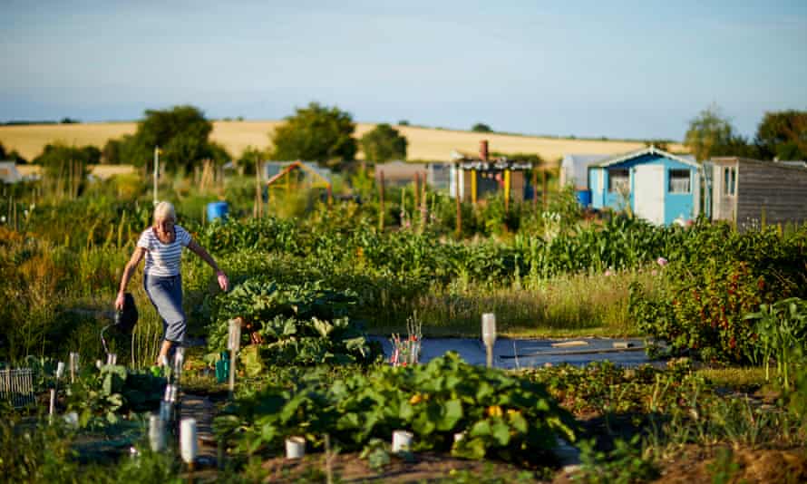 2F6F1E22-ECC7-4705-8345-FAC639F2F4DE