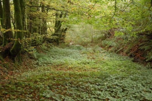 BCB6733D-D315-4772-A9E8-ED46E2E4CBCB